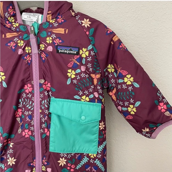 Patagonia Bunting - Picture 2 of 6